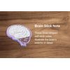 Brain Gift Set 4 Pack for Anatomy, Neurological Students and Professional
