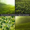 Ultimate Loose Leaf Tea Sampler Featuring 12 Black/ Green/ Herbal Teas