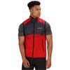 Regatta Herren Lankin B/W II Schwarz L