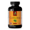 Candida cleanse - CANDIDA HEALTH COMPLEX - immune support formula - 1 Bottle