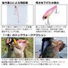 DAIWA Bus Tease Pencil Blue Back Chart 60F Lure