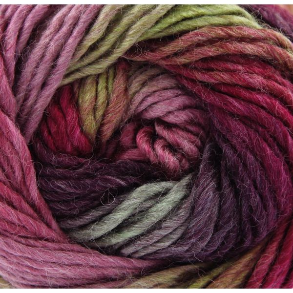 King Cole Riot Chunky 100g - 658 Moors
