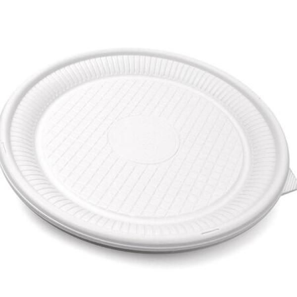 Eco-friendly plate 230_MC