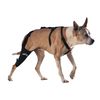 WALKABOUT Knee Brace (Large right 14-15")