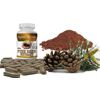 PINE BARK EXTRACT 60CAPS 200mg X/c pure extract pine bark 400 mg dosis