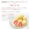 Rokkatei Strawberry Chocolate White [Bag]
