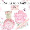 Cherry Blossom Design: Stylish Paper Plate Set (Cherry Blossoms, 4)