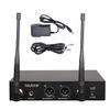 Boytone BT-46UM, UHF Wireless Dual HandHeld Microphone System / Digital Display