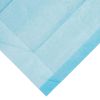 Dynarex Disposable Underpad Fluff 23 x 24" 1342 100 pads