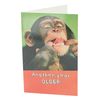 UK Greetings Birthday Card for Him/Her/Friend - Monkey Design