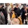 Magic Ball Icebreaker, Learning Kit, Team Building, Problem Solving, Improvement