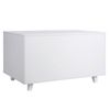 Multi-function Cat House Hidden Litter Box Enclosure w/Pad Organizer Cabinets