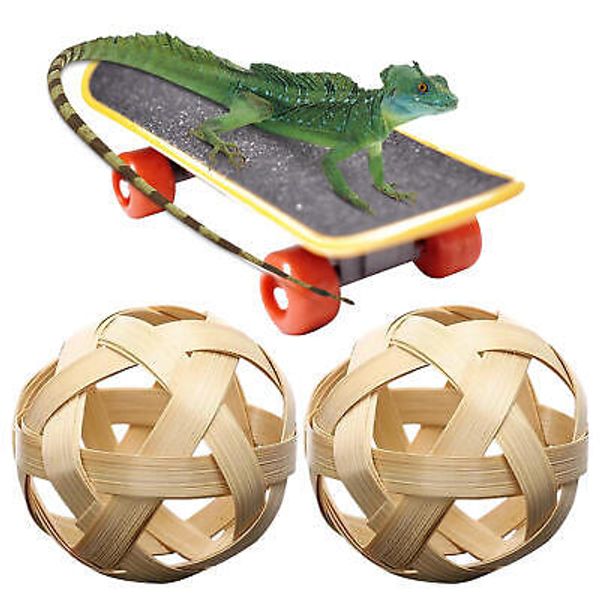 Turtle Pet Toy Mini Skateboard W/ 2 Ball Fun Pet Turtle Play And Training Toy