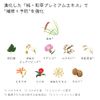 Ichikami Smooth Care Hair Conditioner Pump 480 ml