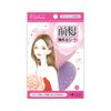 Full Lifuari Bangs Fastening Sheet (4 Pieces)