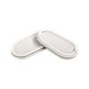 GVS SPR316 Pair of P3 Dust Replacement Filters