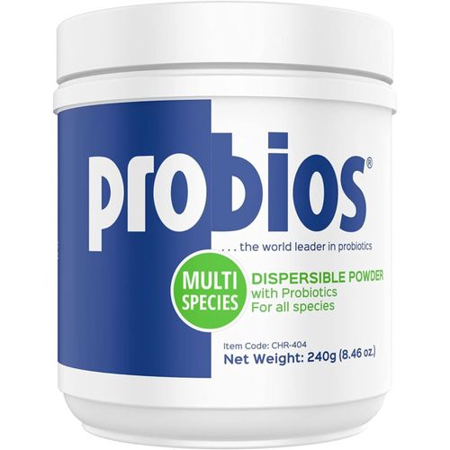 Probios Vet Plus Dispersible Digestive Powder, 240gm