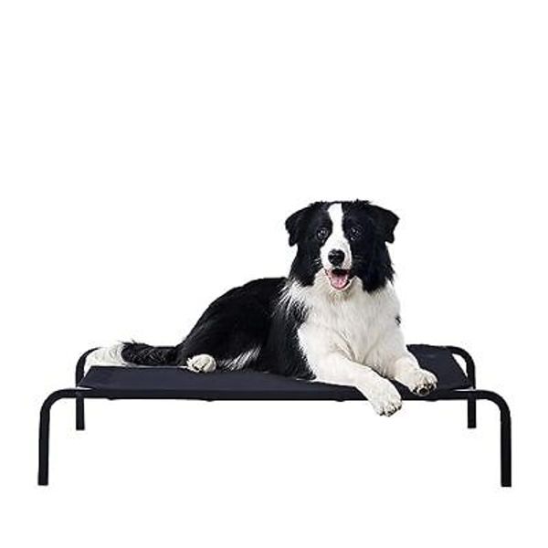 Large Breed Dog Bed Elevated Outdoor Raised Pet Cot Indoor Durable Steel Frame