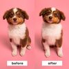 Pet Teezer, Pet Puppy Grooming Brush, Mint