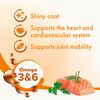 Beaphar Salmon Oil, 430ml