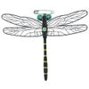 Sunline MSY Oniyanma-kun