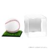 Baseball Case Sign Ball Case for Baseball Acrylic Display Case Protective Display Dustproof Square Collection Case Transparent Case (Mirror)