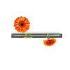 XXD Flower Boulevard Vase – an Vase – Impressed by Design