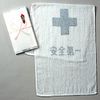 380-10 Safety Towels (1 Pair)