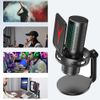 Professional Gaming RGB USB Condenser Microphone, PC/PS5/Streaming/Podcast/Video