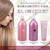Salon Link ekusutoratori-tomento, G