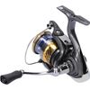 Daiwa Laguna LT Spinning, 3 + 1, 5.3 : 1