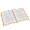 grafoplas 1155724 Folder with 30 Sleeves, Orange