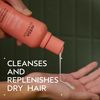 Aveda Nutriplenish Shampoo Light Moisture | Superfood Shampoo for Dry Hair | Organic Pomegranate Oil, Coconut Oil, Mango Butter | 94% Naturally Derived*, 8.5 Fl Oz