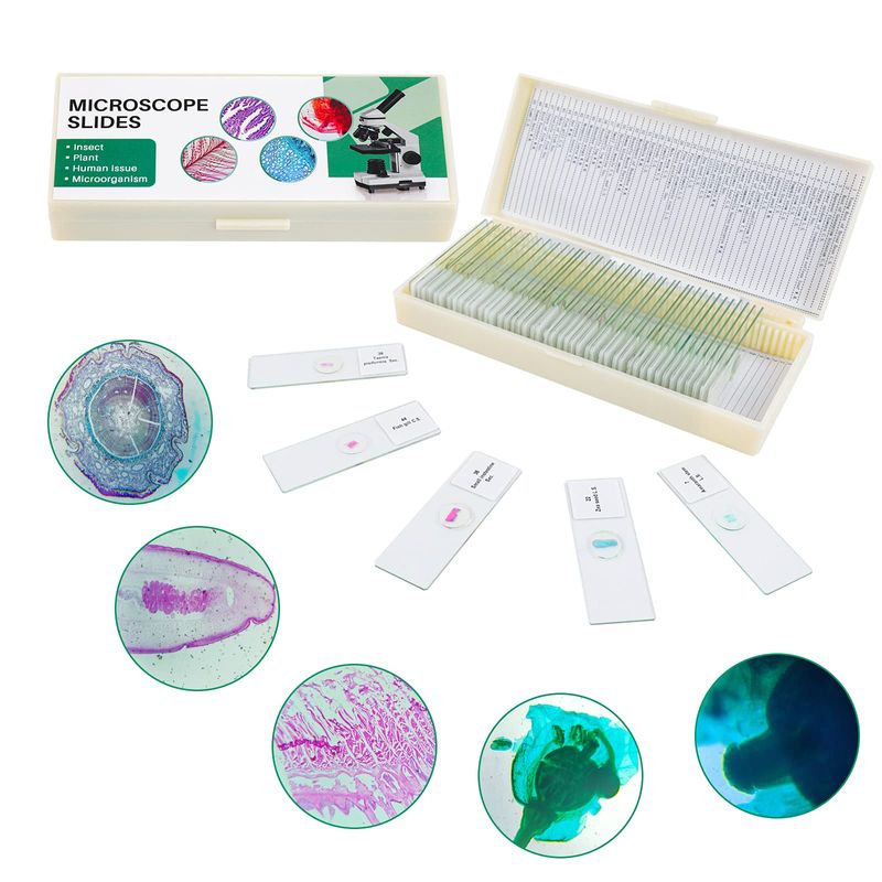 50 Prepared Microscope Slides with Specimens for Kids Students - Plants ...