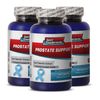 Graviola - Prostate Support 1600mg - Promotes Healthy Prostate Size  3B
