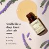 Aromafume Essential Oil (Patchouli - FBM)