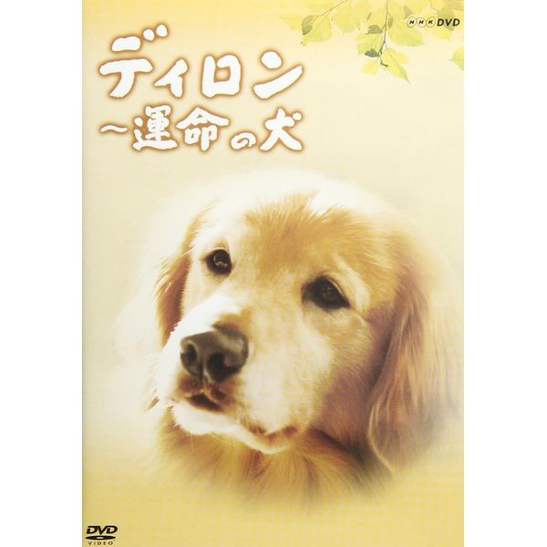 ディロン 運命の犬 [DVD]