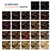 Phyto PhytoColor Permanent Color - 5.3 Light Golden Brown