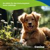 Canina Immune Booster Paste 15 ml