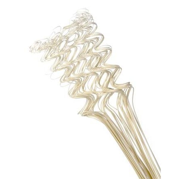 Hogewoning 100 Stems Bunch Curly Ting Ting - Bleached White (100 Stems)