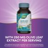 Nature's Way Olive Leaf, Premium Extract, Supports Heart Health*, 20% Oleuropein, 250 mg per serving, Non-GMO Project Verified, 60 Vegan Capsules (Packaging May Vary)
