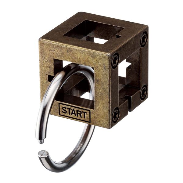 Bartl Huzzle Cast Puzzles, 50 Different High Quality Metal Puzzles for Experts Choose from a range of puzzles..., Box