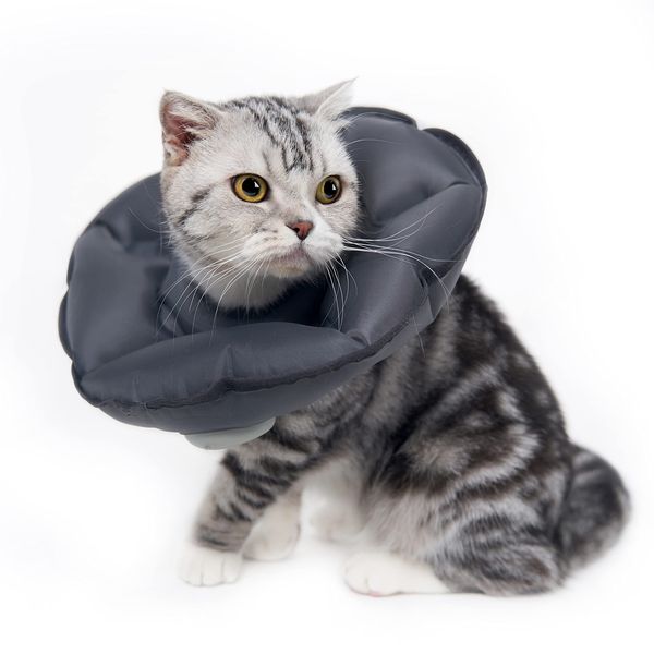 MayMaw Balloon Halskrause Katze Soft, Handpresse Aufblasbare Halskrause Katze Halsband, Nach Operation und Verletzungen für Welpen, Faltbarer Leichter E-Kragen für Katzen und Kätzchen