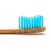 Humble Brush Adult Medium