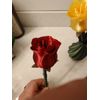 3d printed rose
