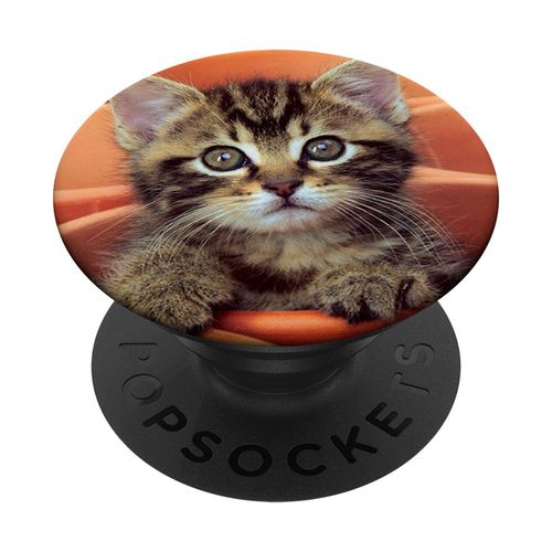 Kitten Lover Phone Holder Small Cat Gift Idea for Boys&Girls PopSockets PopGrip: Swappable Grip for Phones & Tablets PopSockets Standard PopGrip