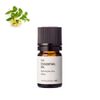 honeysuckle absolute honeysuckle / 2ml essential oil