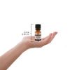 Plantlife Grapefruit Aromatherapy Essential Oil - Straight from The Plant 100% Pure Therapeutic Grade - No Additives or Fillers - 10 ml