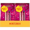 Burts Bees Kissable Color Warm Holiday Gift Kit, 1 EA
