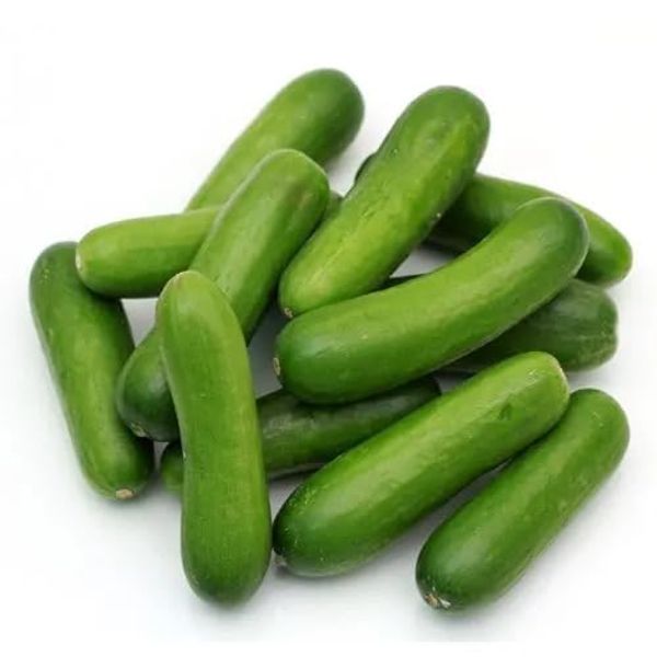 Veenas Mini Cucumber | 5 Pieces | 100% Fresh Vegetable | Indian Origin